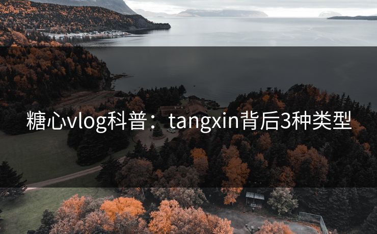 糖心vlog科普：tangxin背后3种类型
