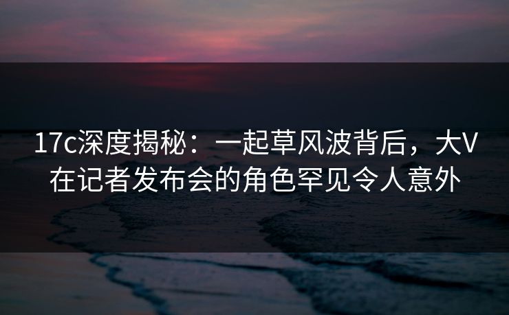 17c深度揭秘:一起草风波背后,大V在记者发布会的角色罕见令人意外 17c深度揭秘:一起草风波背后,大V在记者发布会的角色罕见令人意外
